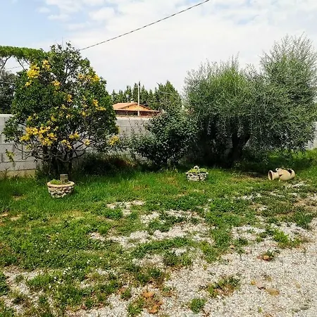 La California Marina Di Bibbona