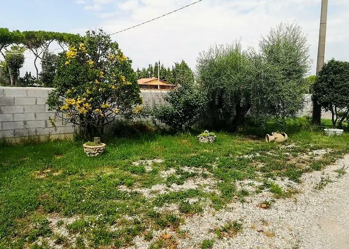 La California Marina Di Bibbona